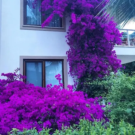 Διαμέρισμα Centre W/pool In Gocek - Marigold *